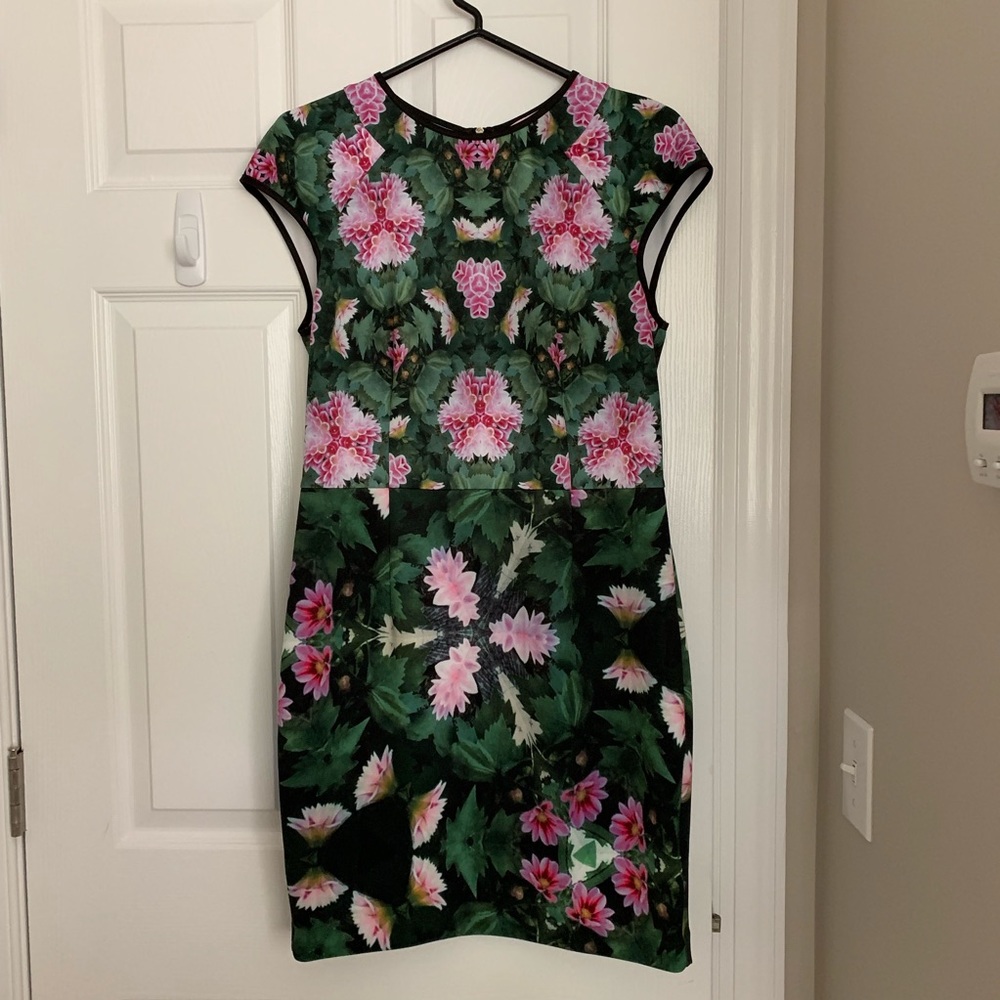 Ted Baker London Dress